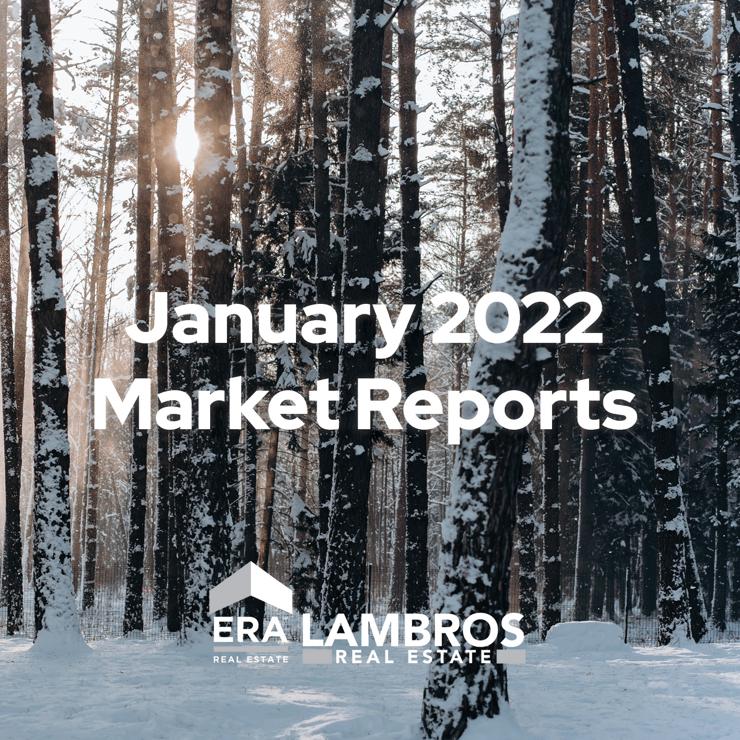 ERA Lambros Real Estate January Market Report - Forest in Winter Background
