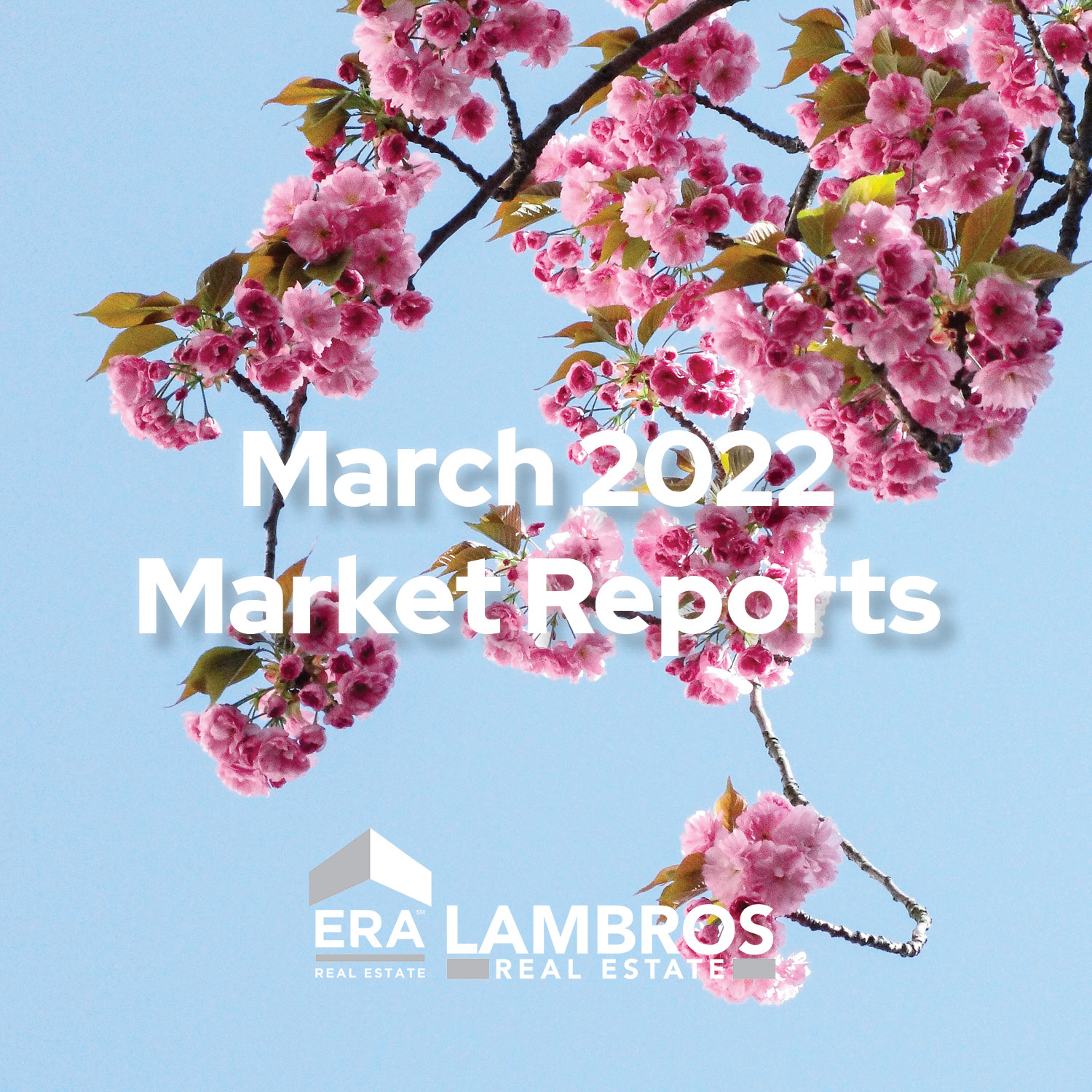 ERA Lambros March 2022 Market Reports - Pink Blossoms